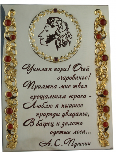 Табличка Евгений Онегин фото 3